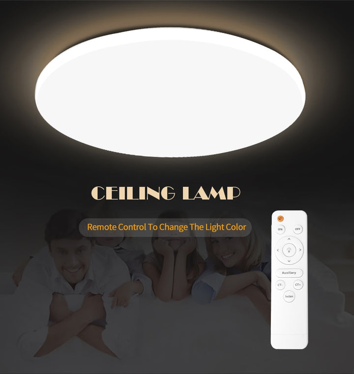 Modern LED Ceiling Light