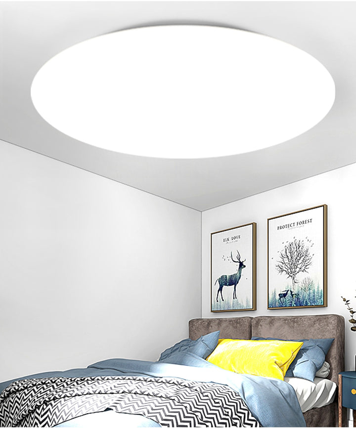 Modern LED Ceiling Light