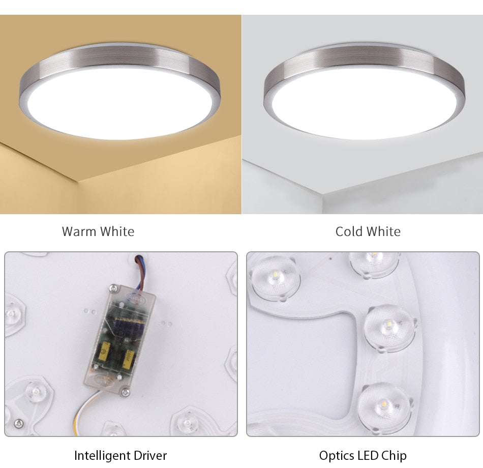 Modern LED Ceiling Light