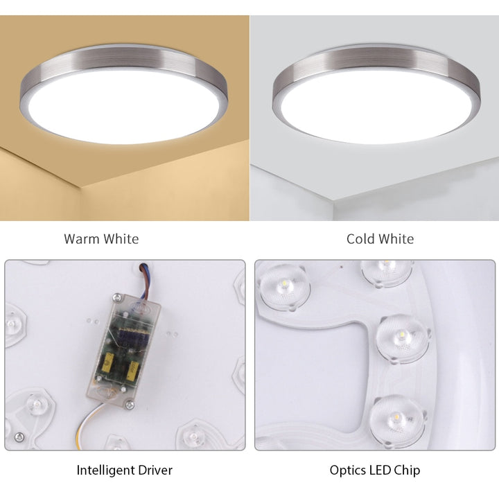 Modern LED Ceiling Light