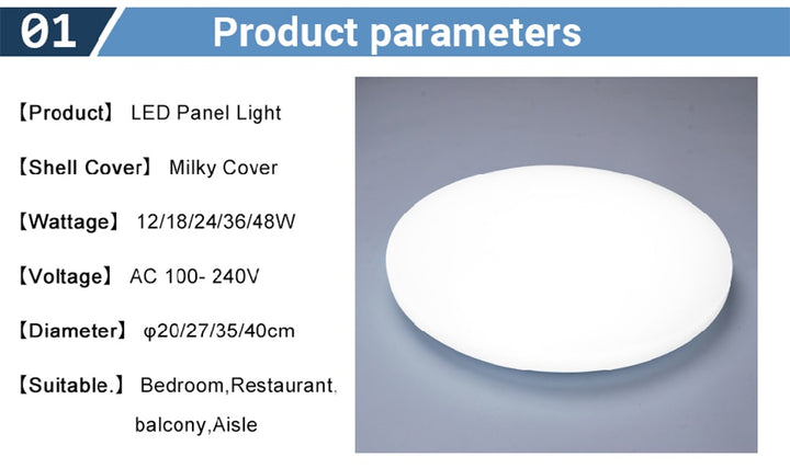 Modern LED Ceiling Light