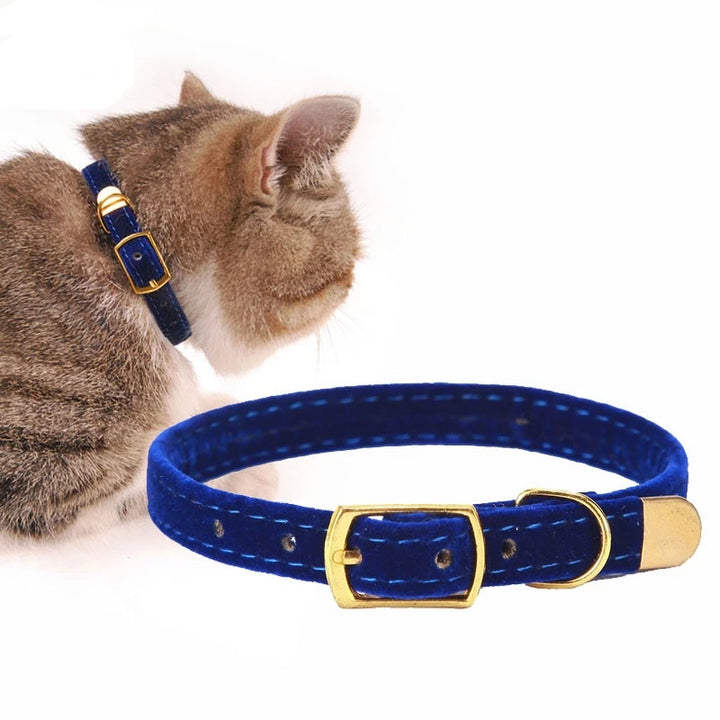 Cat Collar