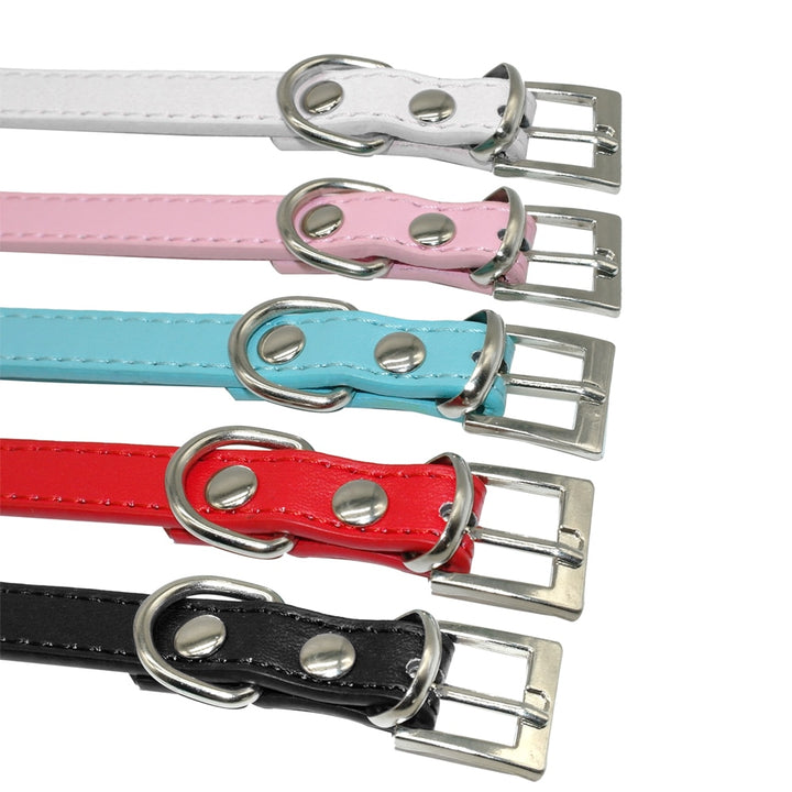 Puppy Dog Collars