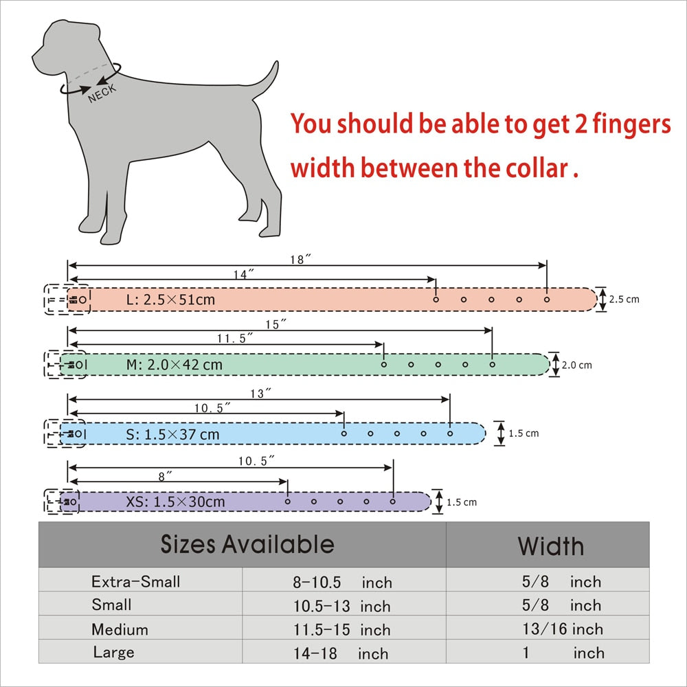 Puppy Dog Collars