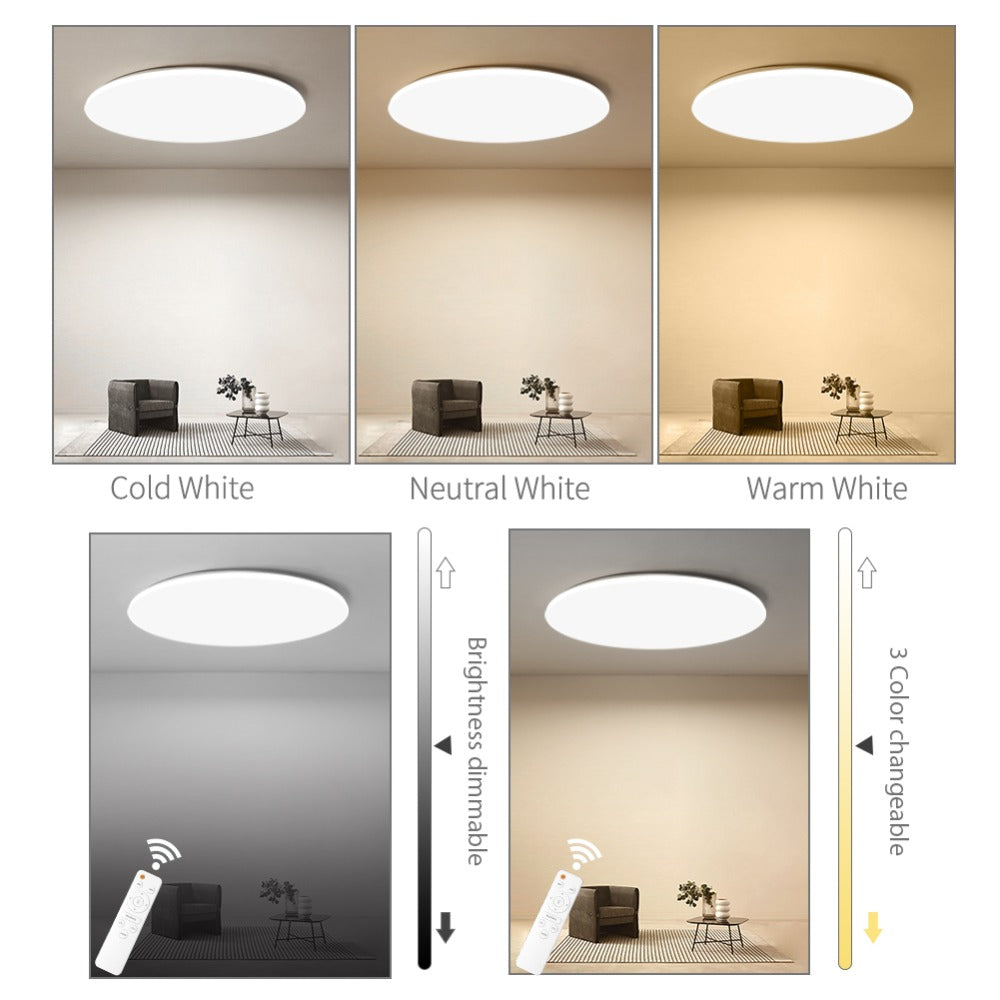 Modern LED Ceiling Light