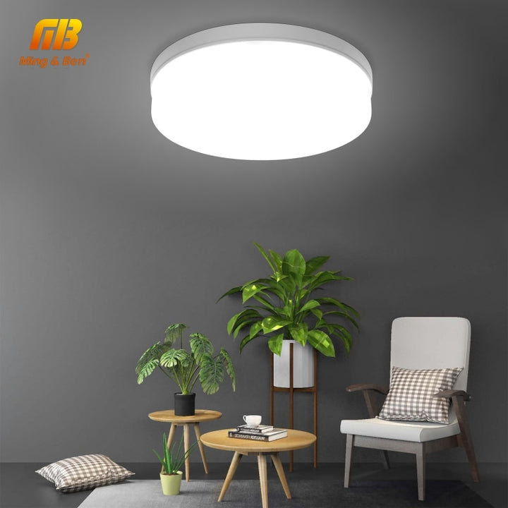 Classic LED Ceiling Lights