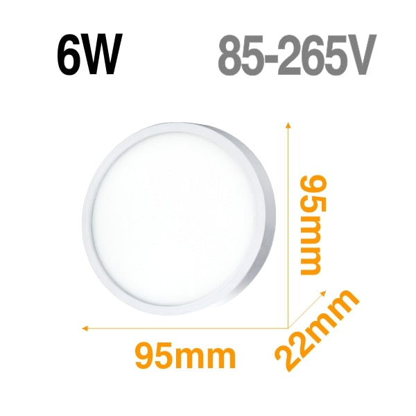 Classic LED Ceiling Lights