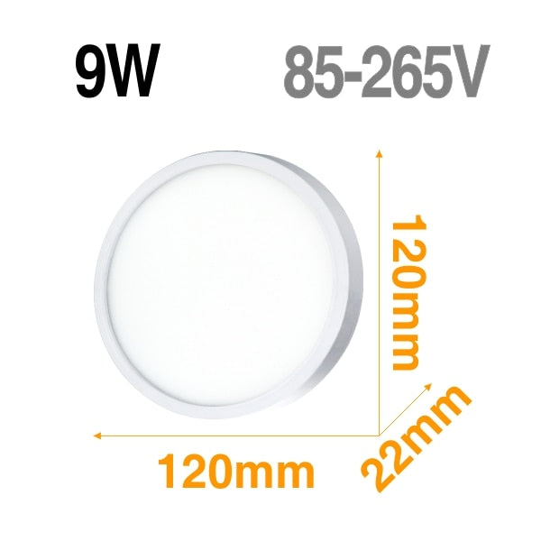 Classic LED Ceiling Lights